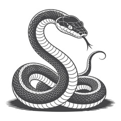 Obraz premium black snake vector illustration