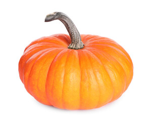 Obraz premium One whole ripe pumpkin isolated on white