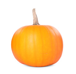 One whole ripe pumpkin isolated on white