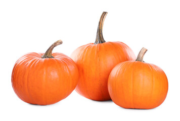 Different whole ripe pumpkins isolated on white