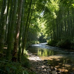Fototapeta premium A dense bamboo forest