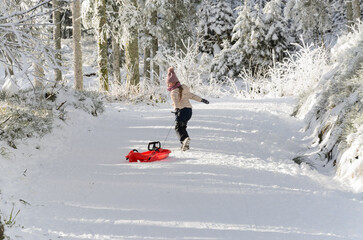 Child Pulling Sled in Snowy Forest