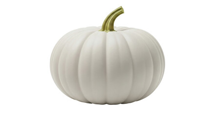 Isolated decorative heirloom pumpkin, autumn harvest crop, fall holiday season design