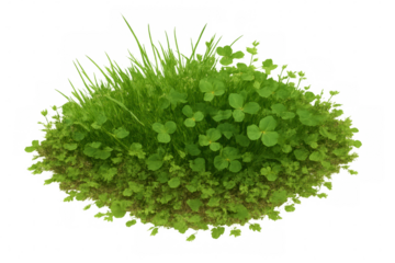 Green grass and clover patch creating a natural foreground element with transparent background