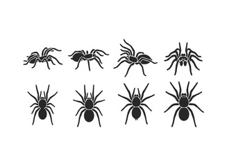 Collection of Black Spider Silhouettes on White Background