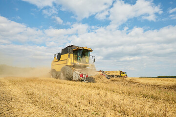 Obraz premium Combine harvester operating in wheat field collecting crops on sunny day, agricultural machinery working during harvest season with trailer truck visible in background