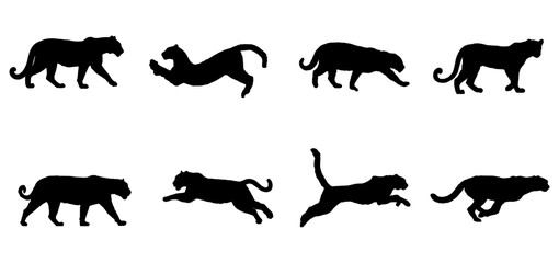 vector set of tiger silhouettes in various styles