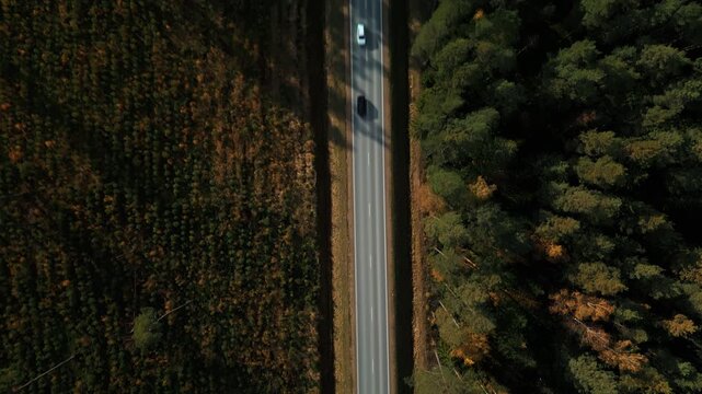 Aerial view of transport corridor, Sunlight highlights field patterns and transportation routes