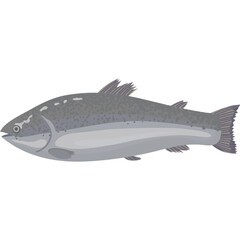 Pixel Art Salmon Fish With Gray Scales And Fins Facing Left On Transparent Background