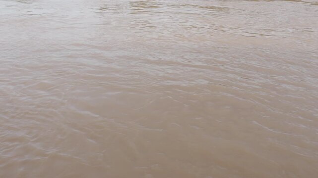 the Chao Phraya River has a high water level and fast-flowing at Ayuthaya, Thailand. beware flooding. 