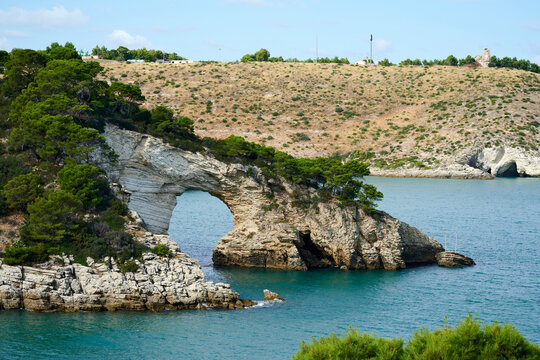 gargano