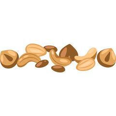 Assorted Nuts and Seeds Isolated on White Background With Natural Colors and Detailed Texture