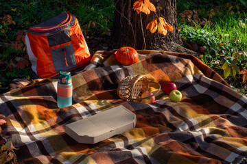 Picnic on a beautiful bright autumn evening in the garden.