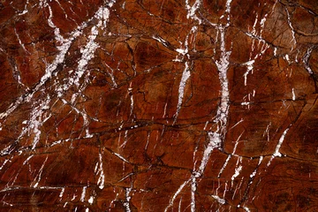 Wandcirkels plexiglas Marmer New White Fire Gold - marble background, texture in elegant brown tone for your stylish interior.  © Dmytro Synelnychenko