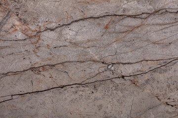 Silver Roots Marble background, texture in stylish colors for your home design.