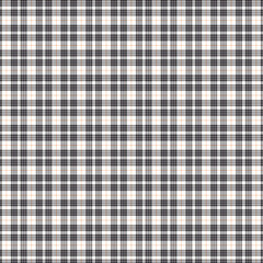 Blue and white checkered gingham pattern cloth, a seamless vintage picnic blanket textile backdrop
