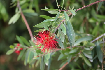 In the midst of nature