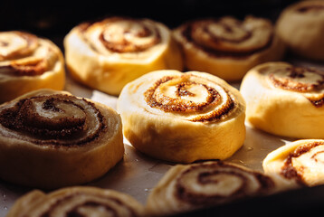 Fresh homemade cinnamon rolls rising in the oven. Close-up of raw sweet buns with sugar and cinnamon filling before baking. Cozy home baking concept.
