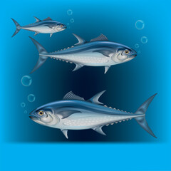 A painting of a mackerel in the water, a beautiful blue color.
