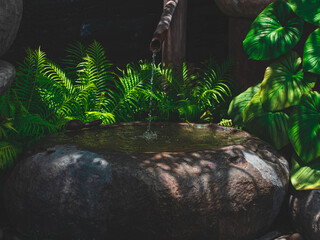 A Tranquil Japanese Garden Water Fountain with Lush Ferns © Parichart