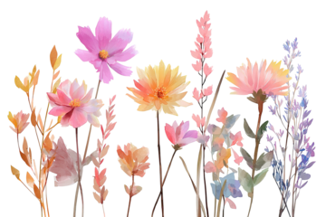 Watercolor illustration of a vibrant wildflower meadow against a stark black background