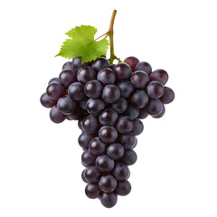 Fototapeta premium Dramatic Close Up of a Bunch of Dark Purple Grapes with Green Leaf on a Transparent Background