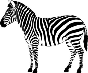 Elegant Zebra Silhouette.eps