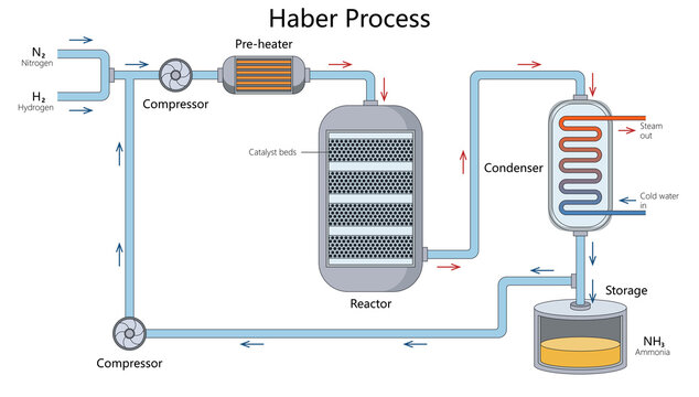 Haber process showing how nitrogen and hydrogen are converted into ammonia using heat, pressure, and catalysts diagram hand drawn schematic raster. Science educational illustration