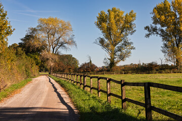 Fototapeta premium country road in autumn