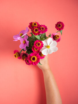Hand holding vibrant summer flower bouquet on coral background