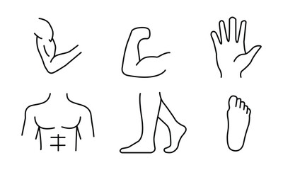 6 Man Part Outline Vector Set – Male Silhouette Pack, Editorial Pose Graphics, and Minimal Character Elements
