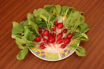 Assiette de radis