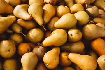 Golden pear pile in sunlight