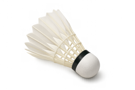 Badminton shuttlecock displaying white feathers and plastic base for competitive sport games, transparent background