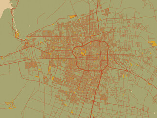 Abstract flat-design map of San Juan, Argentina, featuring sage/olive tone field with rust networks and ochre shapes, cream water.