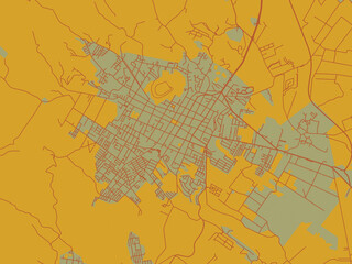 Fototapeta premium Contemporary flat map of Coatepec, Mexico design with earthy sage background with rust roadways and ochre details.