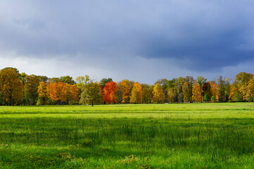 Naklejka premium Autumn Trees and Green Field Under a Dramatic Cloudy Sky