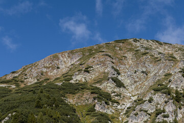 Panoramic view of Pirin Mountain: rugged, rocky slopes under a blue sky. Green bushes & grass cling to the alpine terrain, highlighting its raw beauty.
