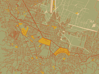 Poster-ready flat map of Xochimilco, Mexico, sage/olive tone field with rust networks and ochre shapes, cream water.