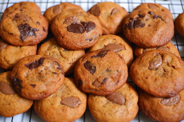 chocolate chip cookies