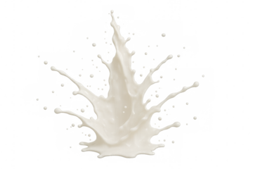 Milk splashing, white dairy liquid flowing, drops exploding dynamically on transparent background