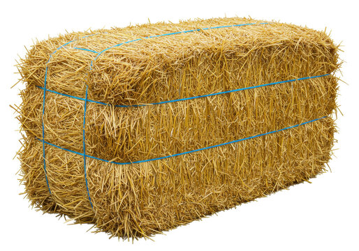 Isolated rectangular bale of hay tightly bound with string for agricultural use, farming