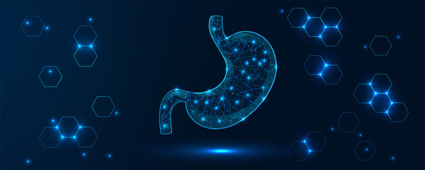 Low poly wireframe stomach illustration in 3D abstract style. Concept gastric care, cancer, pain, science, and technology. Geometric hexagon background. Vector illustration.