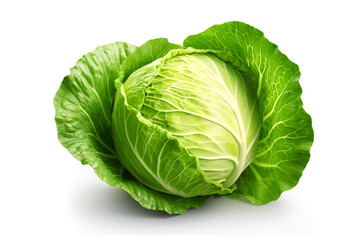 Fototapeta premium cabbage head isolated on white background.