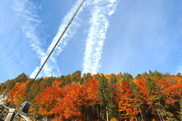 H&auml;ngebr&uuml;cke Ehrenberg, Highline
