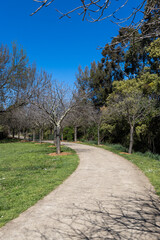 Empty curvy walkway in the park.