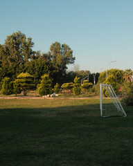 Fototapeta premium Empty football goal on green field at sunset