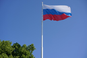 Russian flag waving in the clear blue sky above lush green trees during a sunny day