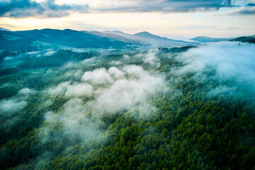 Stunning aerial view of dense forest blanketed in morning mist, with rolling green hills and distant mountains under pastel sky. Mist creates dreamy atmosphere, softening landscape's features.