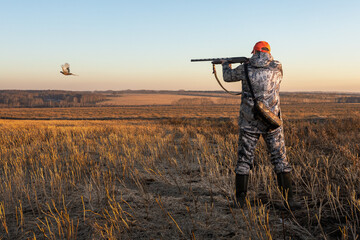 Hunter aiming with rifle on pheasant. Outdoor hunting scene